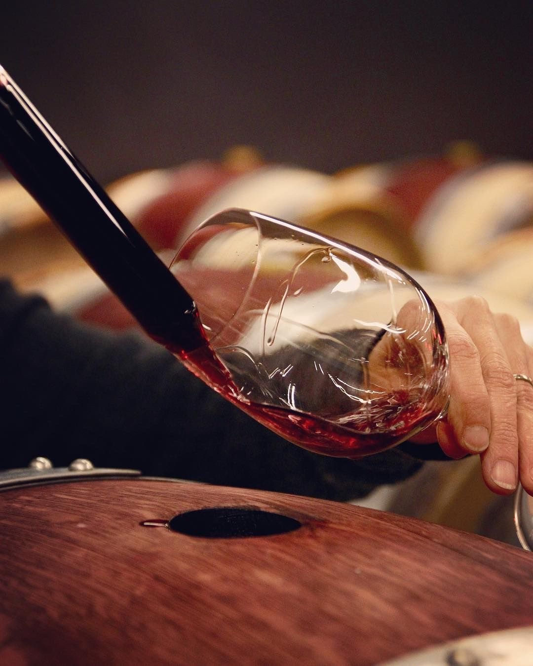 Guided Wine Tastings